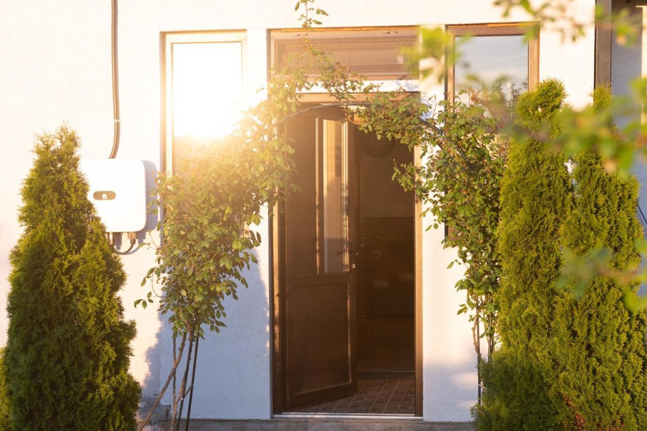 Casa Dumitrescu Hotell Năvodari Exteriör bild